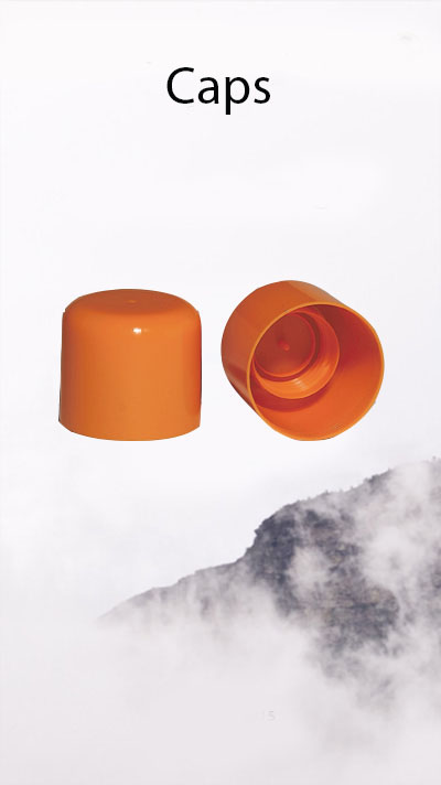 Capsule